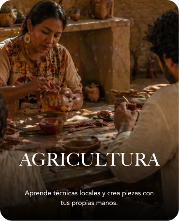 AGRICULTURA MOCHE