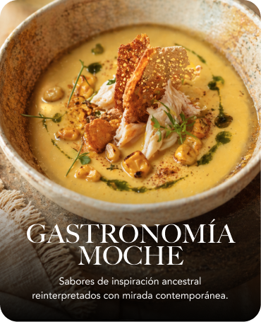 GASTRONOMIA MOCHE