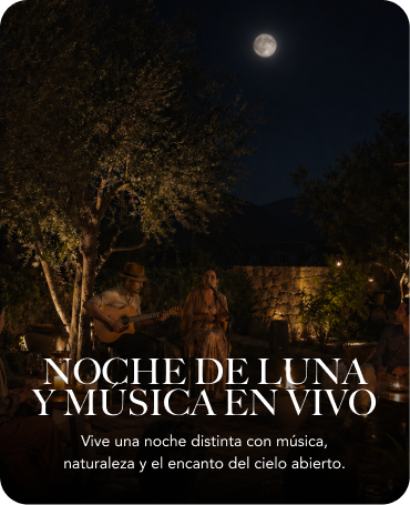 NOCHE DE LUNA Y MÚSICA EN VIVO